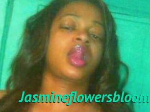 Jasmineflowersbloom