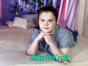 KatrinKrok