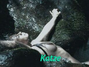 Katze