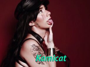 Kamicat