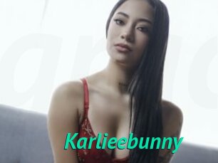 Karlieebunny