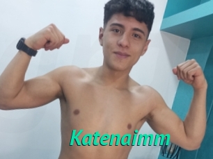 Katenaimm