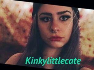 Kinkylittlecate