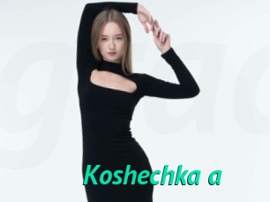 Koshechka_a