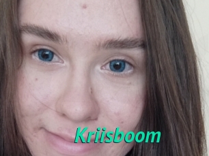 Kriisboom