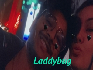 Laddybug