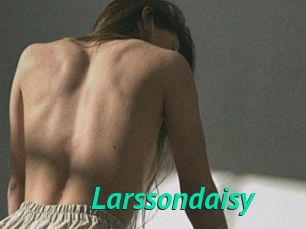 Larssondaisy