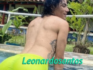 Leonardosantos