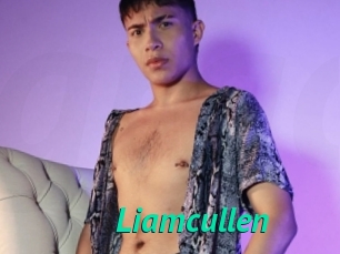 Liamcullen
