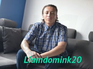 Liamdomink20