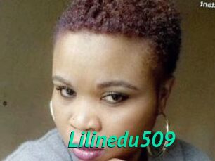 Lilinedu509