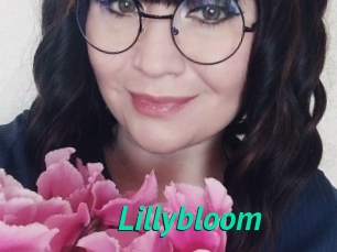 Lillybloom
