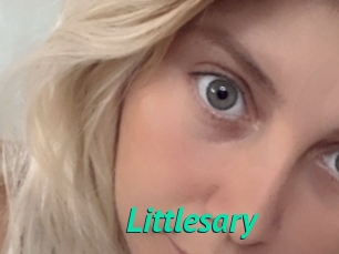 Littlesary
