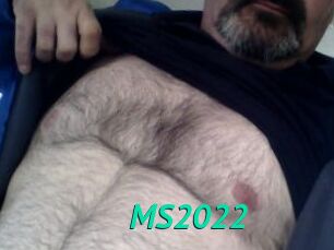 MS2022