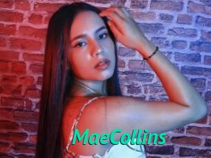MaeCollins