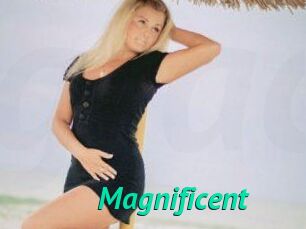 Magnificent