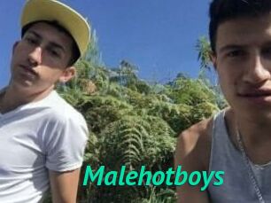 Malehotboys
