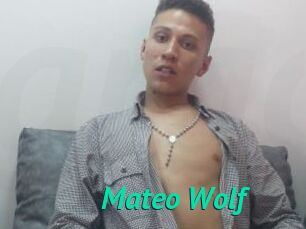 Mateo_Wolf