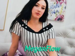 MeganFlow