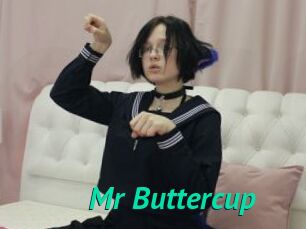 Mr_Buttercup