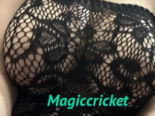 Magiccricket