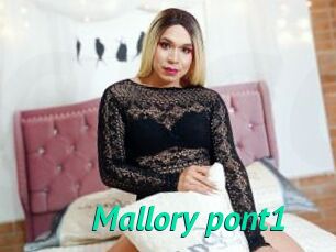 Mallory_pont1
