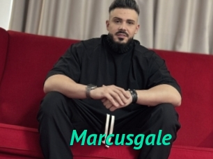 Marcusgale