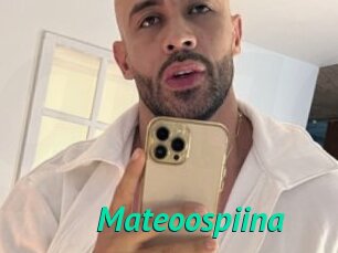 Mateoospiina