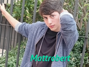Mattrobert