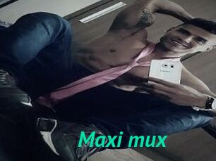 Maxi_mux