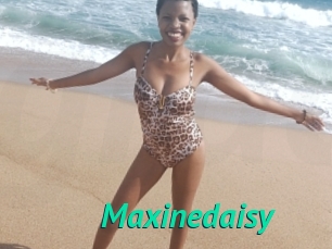 Maxinedaisy