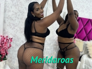 Meridaroas