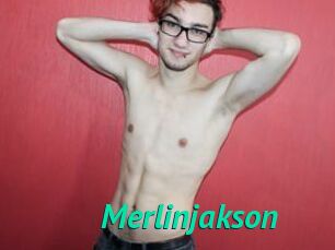 Merlinjakson