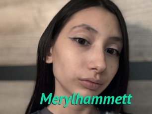 Merylhammett