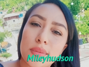 Mileyhudson