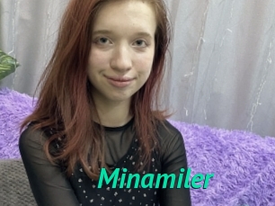 Minamiler