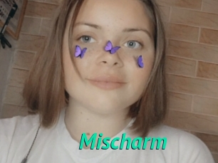 Mischarm