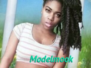 Modelmook