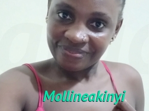 Mollineakinyi
