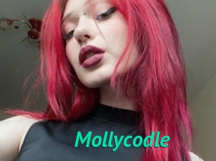 Mollycodle