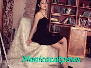 Monicacatpaws