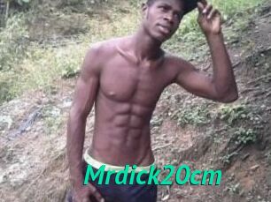 Mrdick20cm