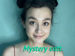 Mystery_catt