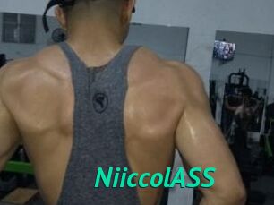 NiiccolASS