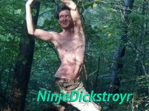 NinjaDickstroyr