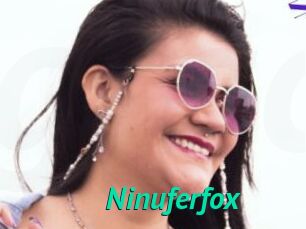 Ninuferfox