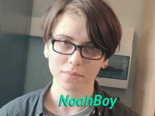 NoahBoy