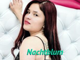 Nachtblum