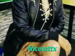 Nicecattx