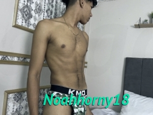 Noahhorny18